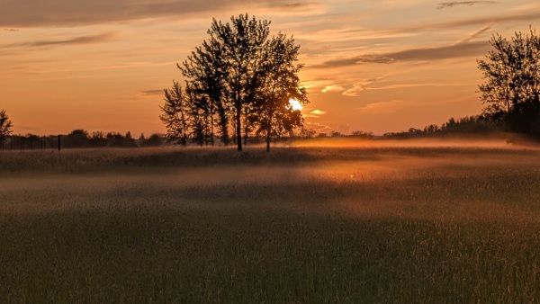 FRIENDLY EAGLE FARMS - Evening fog, after heavy rain (and hail)